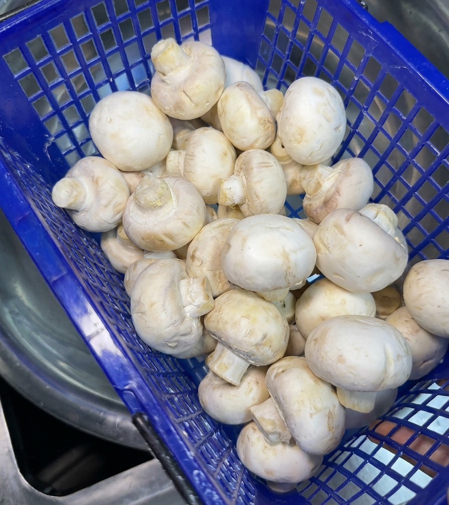 Niebieski plastikowy koszyk pełen świeżych, całych białych pieczarek przygotowanych do mycia.