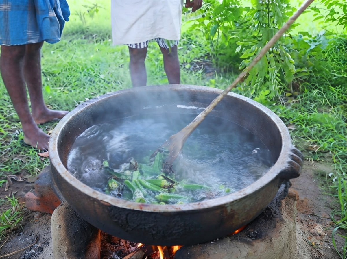Świeże zielone liście curry obrywane bezpośrednio z gałązki do bulgoczącego garnka z doprawionym olejem na zewnątrz.